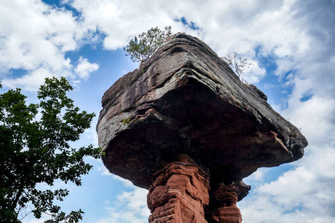 Der Teufelstisch bei Hinterweidenthal (Foto: Holger Knecht)