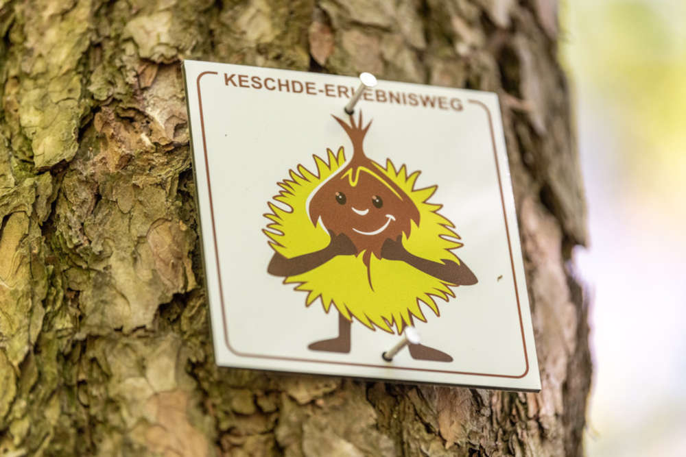 Das lustige Keschdemännchen weist den Weg. (Foto: Dominik Ketz, Bildarchiv Südliche Weinstrasse e.V.)