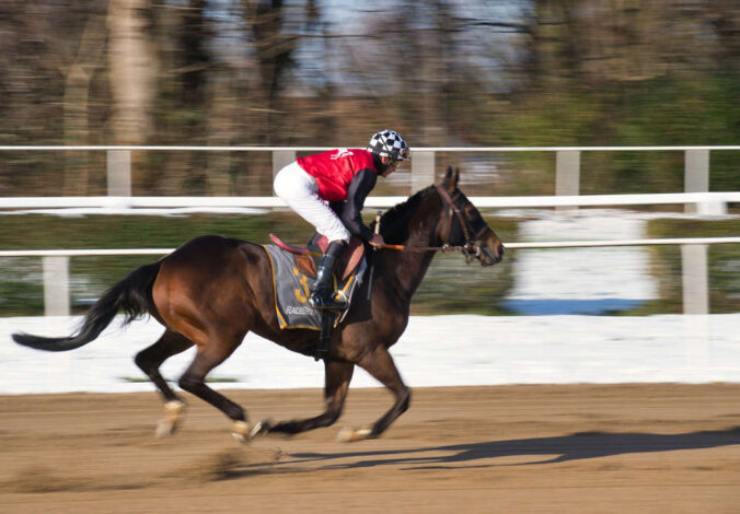 Pferde Rennsport Galopp (Foto: Pixabay/Paul Vom Ehrenberg)