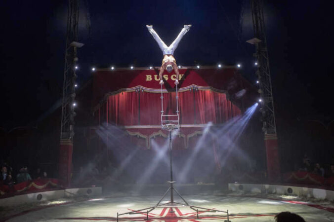 Foto: Circus Paul Busch