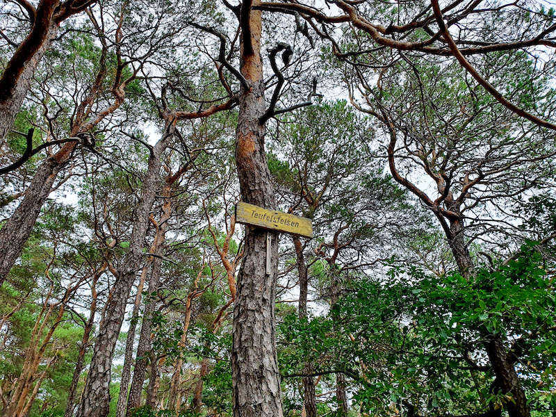 Schild am Aussichtspunkt Teufelsfelsen (Foto: Holger Knecht)