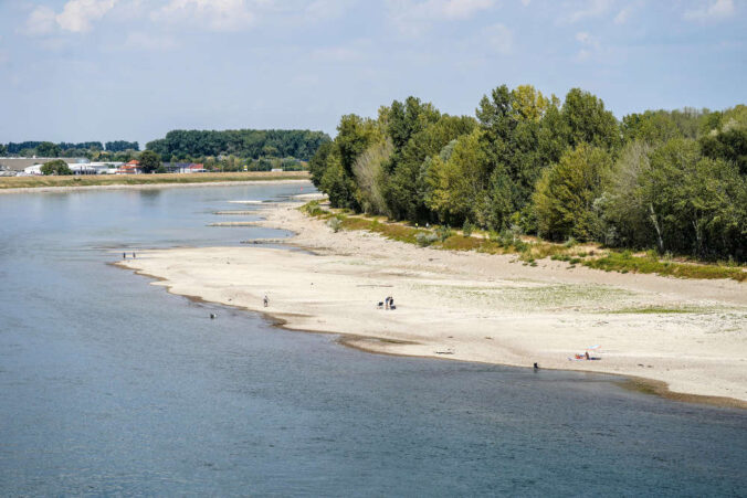 Niedrigwasser Speyer Rhein (Foto: Holger Knecht)