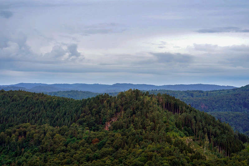 Blick vom Teufelsfelsen (Foto: Holger Knecht)