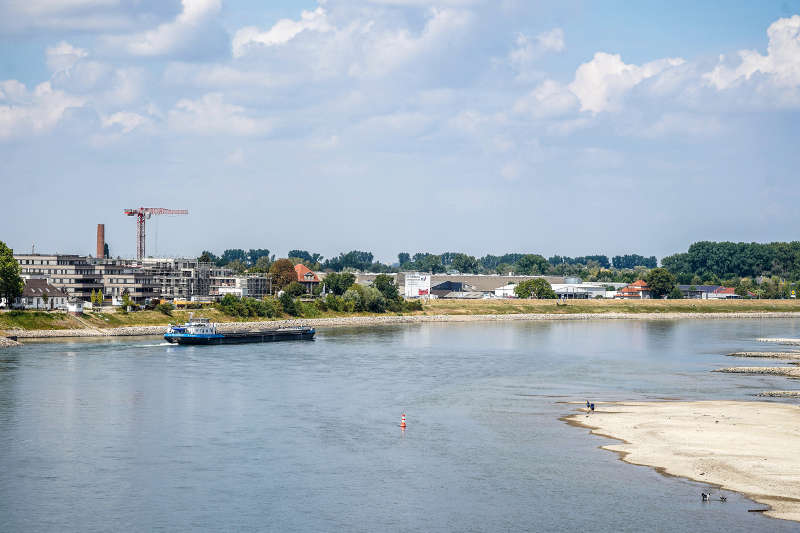 Niedrigwasser Speyer Rhein (Foto: Holger Knecht)