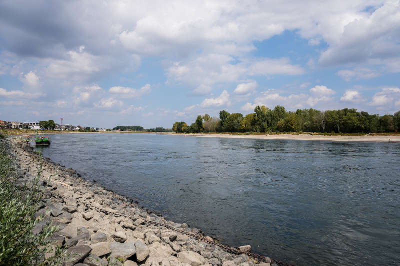 Niedrigwasser Speyer Rhein (Foto: Holger Knecht)