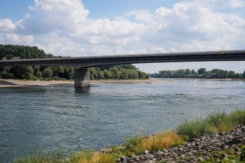 Niedrigwasser Speyer Rhein (Foto: Holger Knecht)