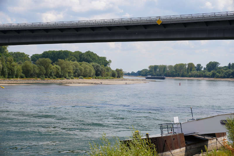 Niedrigwasser Speyer Rhein (Foto: Holger Knecht)