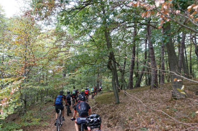 Geführte MTB-Tour (Foto: Foto: Donnersberg-Touristik-Verband)