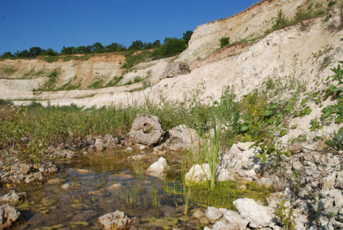 Geo-Tour am Dachsberg (Foto: Donnersberg-Touristik-Verband e.V.)