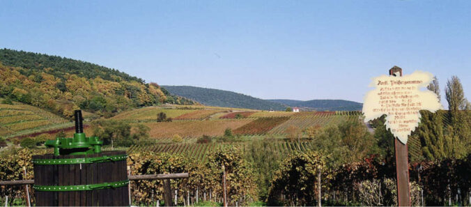 Weinlehrpfadführung (Foto: i-Punkt Edenkoben)