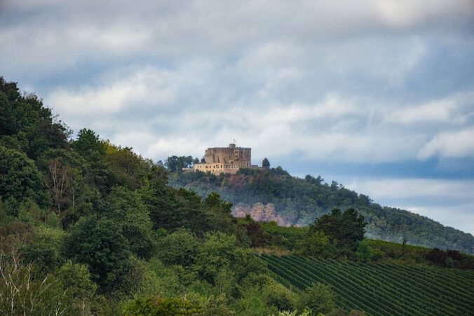 Hambacher Schloss (Foto: Holger Knecht)