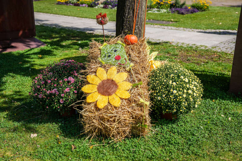 Gartenschau Kaiserslautern 2022 Kürbisausstellung (Foto: Holger Knecht)