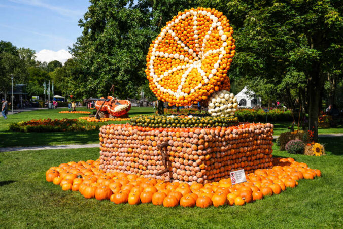 Gartenschau Kaiserslautern 2022 Kürbisausstellung (Foto: Holger Knecht)