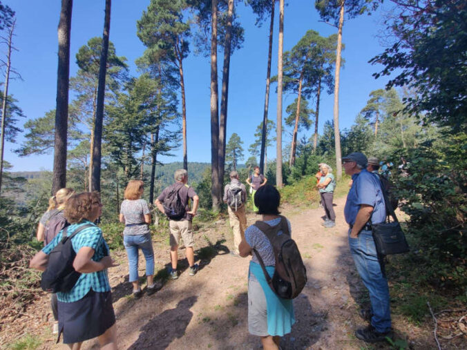 Erkenntnis- und erlebnisreich: Touren mit den Biosphären-Guides des Biosphärenreservats Pfälzerwald (Foto: Biosphärenreservat)