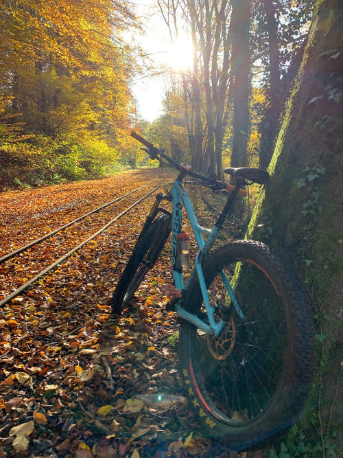 Mountainbike (Foto: Donnersberg-Touristik-Verband e.V., Michael Beysiegel)