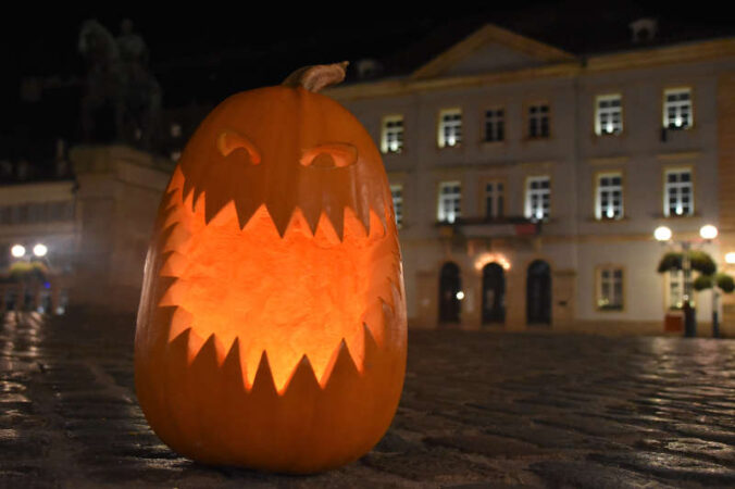 Halloween Kürbis (Foto: Stadt Landau)