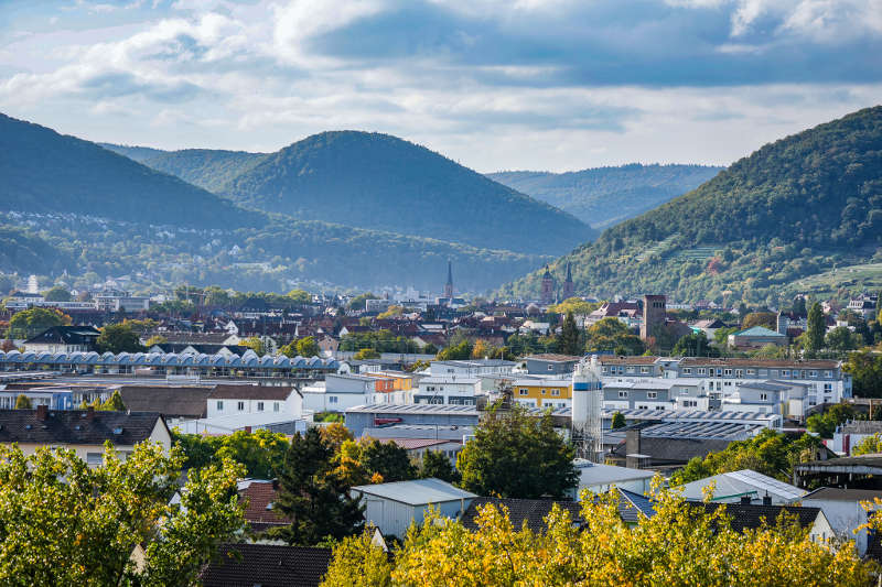 Blick Richtung Westen auf die Neustadter Altstadt und den Pfälzerwald (Foto: Holger Knecht)