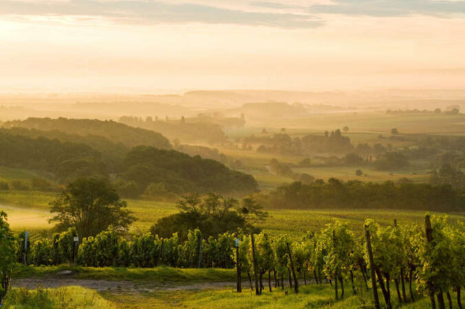 Blick über die vielfältige Landschaft der Pfalz (Foto: Dominik Ketz)