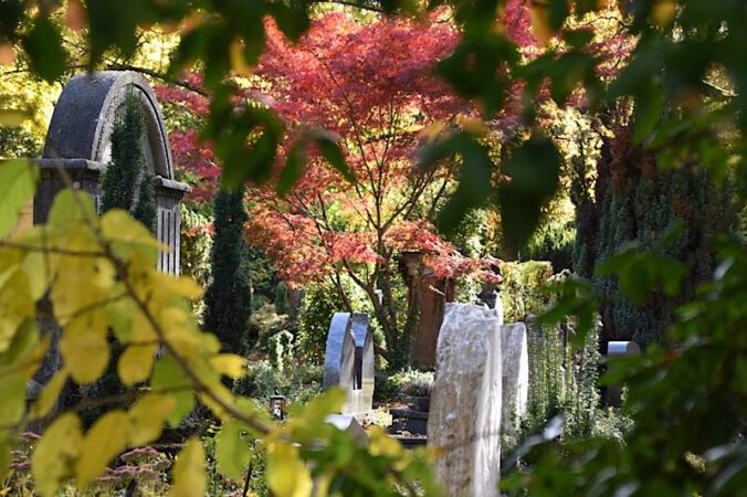 Landauer Hauptfriedhof (Foto: Stadt Landau)