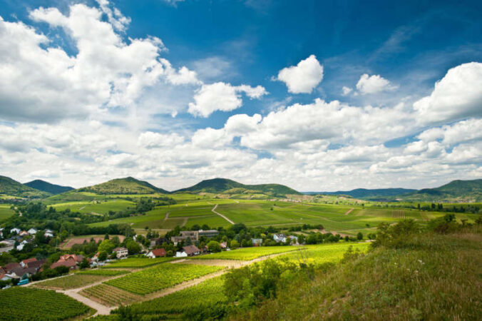 Weinlandschaft um die Kleine Kalmit in der Pfalz (Foto: Dominik Ketz)