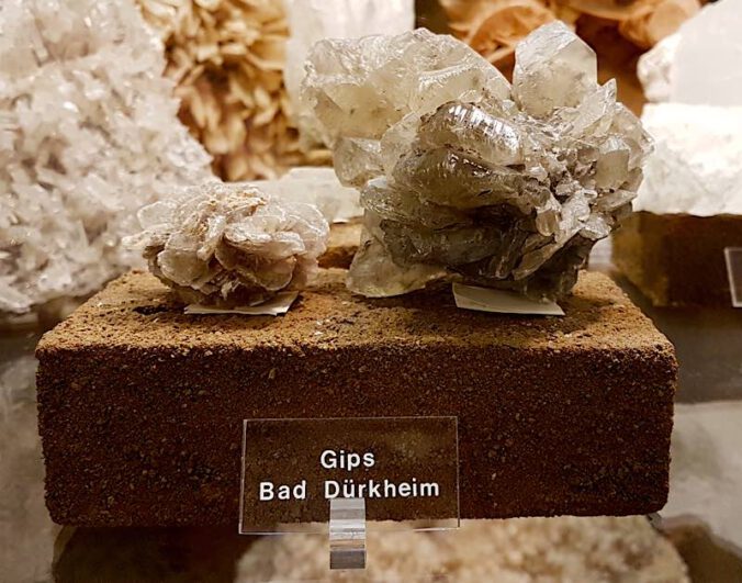 In der Mineralienhöhle des Pfalzmuseums ist eine ganze Vitrine dem Gips gewidmet – auch Gips aus Bad Dürkheim ist dabei. (Foto: Pfalzmuseum für Naturkunde)