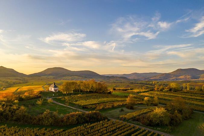 Foto: Pfalz.Touristik e.V./Dominik Ketz