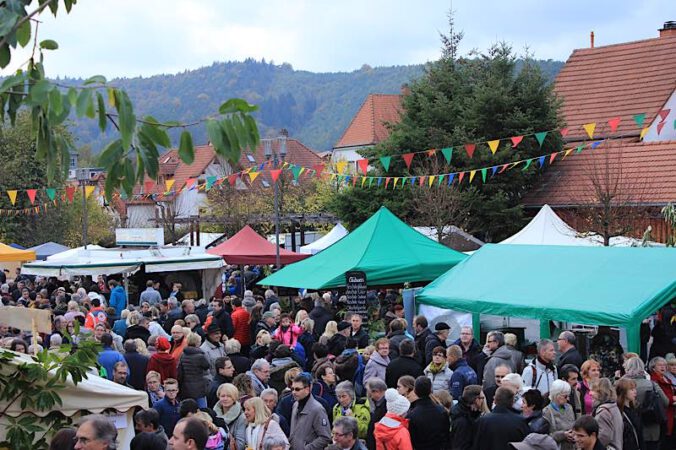 Kastanienmarkt (Foto: Sonja Spieß)