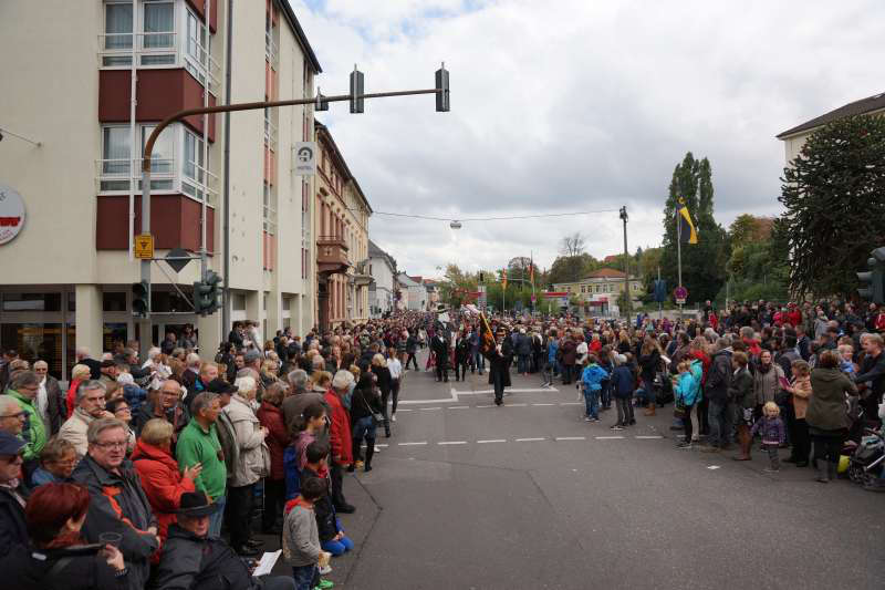 Winzerfestumzug in Neustadt an der Weinstraße (Foto: Holger Knecht)