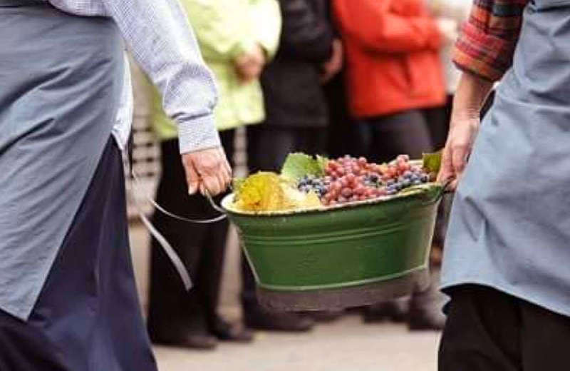 Winzerfestumzug in Neustadt an der Weinstraße (Foto: Holger Knecht)