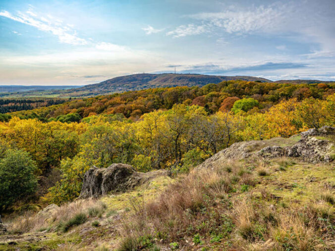 Aussicht vom Drosselfelsen zum Donnersberg in der Pfalz (Foto: Pfalz-Touristik e.V./Jochen Heim)