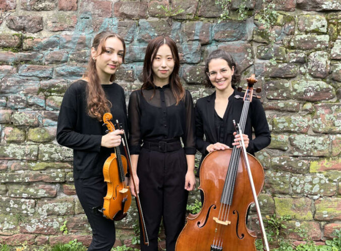 Konzert-Trio (Foto: Ensemble)