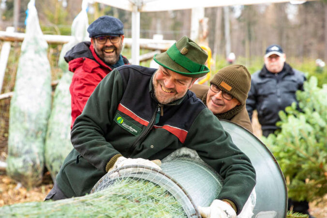 Weihnachtsbäume aus Johanniskreuz (Landesforsten.RLP.de/ Jonathan Fieber)