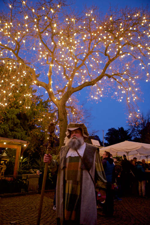 Marktmeister Lichterbaum (Foto: Tourist Service GmbH)