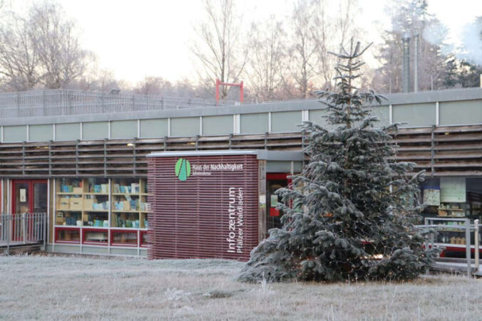 Weihnachtsstimmung am HdN (Foto: Landesforsten.RLP.de / H.Naumer)