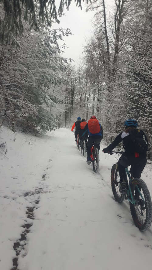 MTB-Tour (Foto: Donnersberg-Touristik-Verband e.V.)