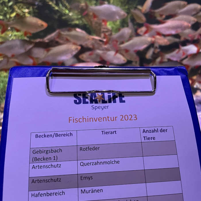 Zählzettel Fischinventur 2023 (Foto: SEA LIFE)