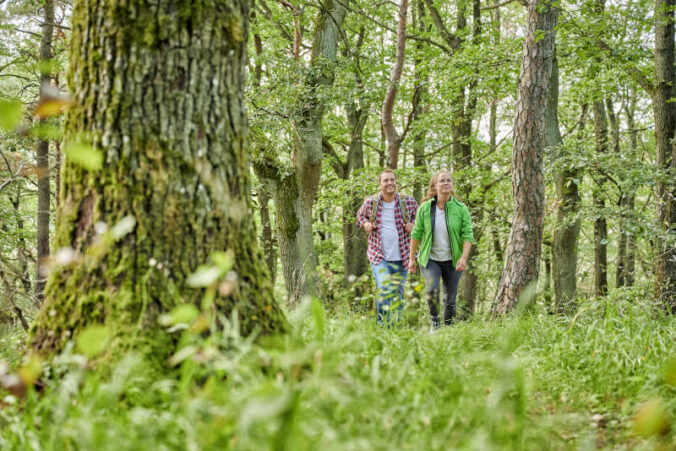 Wandern im Donnersbergkreis (Foto: Donnersberg-Touristik-Verband e.V., Florian Trykowksi)