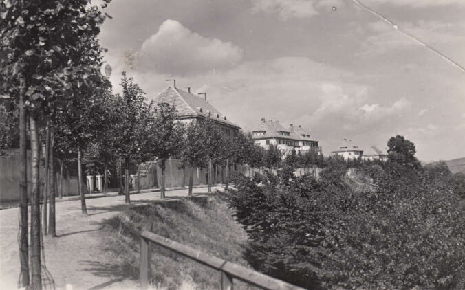 Die Strobelallee bietet zahlreiche Blickpunkte auf die Stadt. (Foto: Sammlung Stadtarchiv Pirmasens)