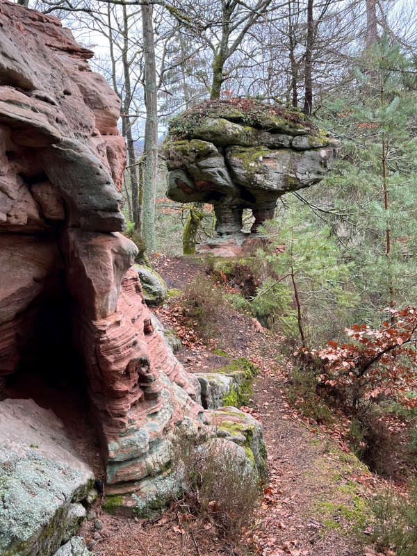 Sonntagstour (Foto: Stadtverwaltung Pirmasens)