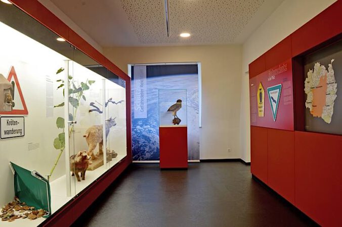 Der Raum „Schützen“ in der neuen Dauerausstellung. (Foto: Pfalzmuseum für Naturkunde)