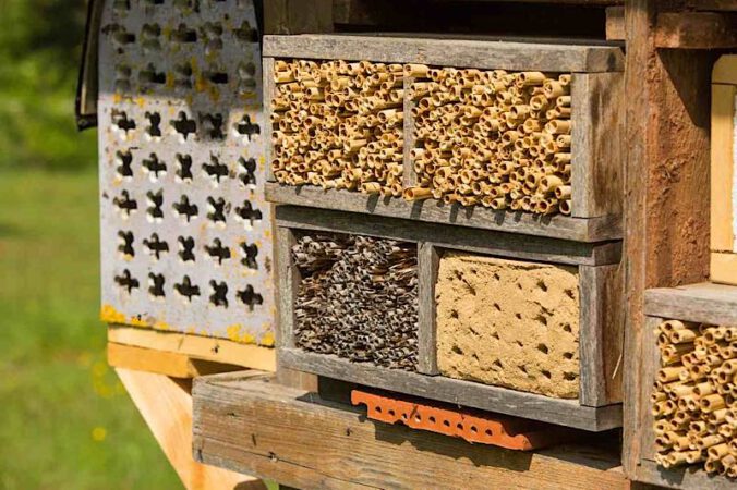 Nisthilfe für Wildbienen (Landesforsten.RLP.de/J.Fieber)