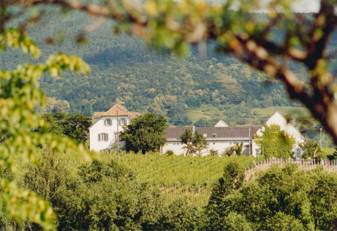 Künstlerhaus Edenkoben (Foto: Künstlerhaus)