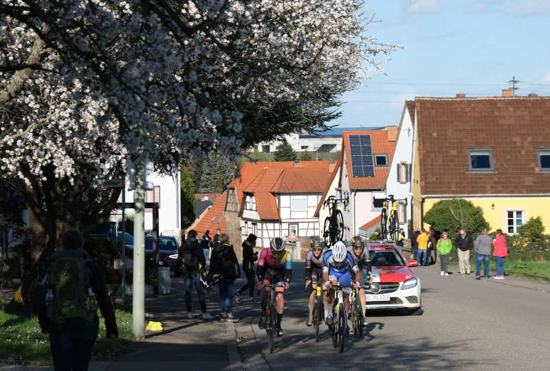 Der zweite Große Preis der Südlichen Weinstraße war ein Radsport-Event, wie man es sonst nur aus dem Fernsehen kennt. (Foto: KV SÜW)