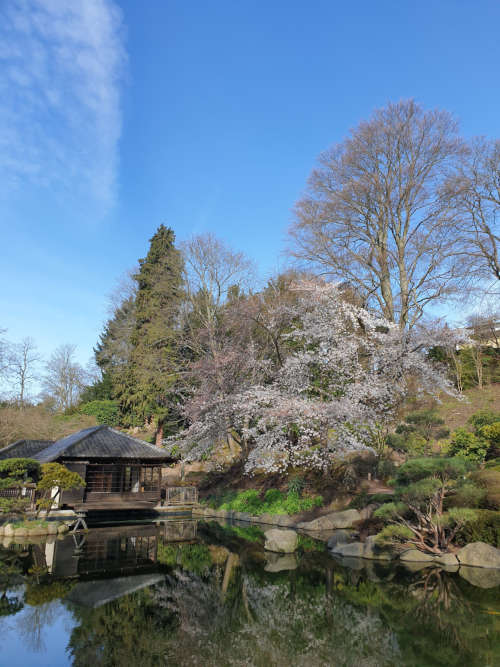 Foto: Japanischer Garten