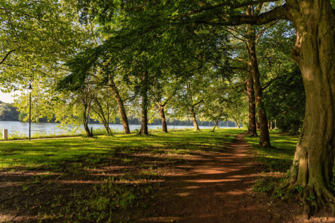 Parkinsel (Foto: Ralph Beetz)