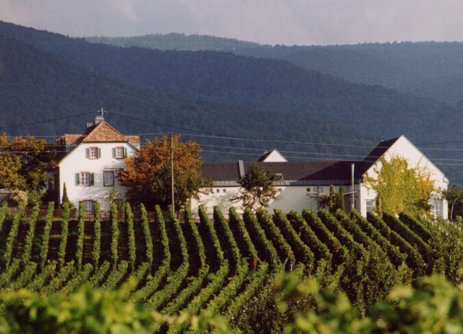 Künstlerhaus Edenkoben (Foto: Künstlerhaus)