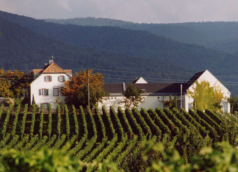 Künstlerhaus Edenkoben (Foto: Künstlerhaus)