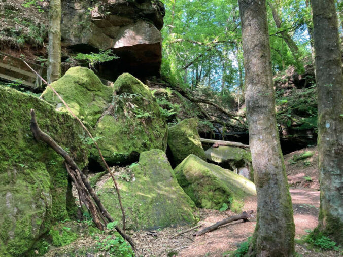 Foto: Kreisvolkshochschule Südwestpfalz