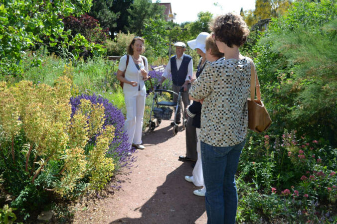 Führung Mediterraner Garten (Foto: Büro für Tourismus Maikammer)