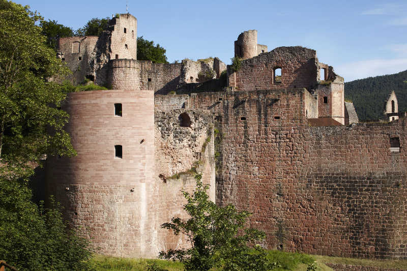 Schloss- und Festungsruine Hardenburg (Foto: GDKE Rheinland-Pfalz / Pfeuffer)